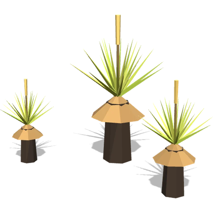 Grass trees in Roo Road Rescue